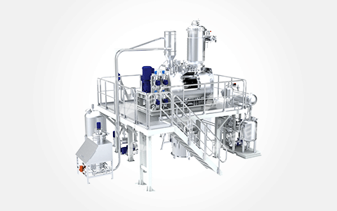 Горизонтальная вакуумная сушильная система (с лемешными лопастями)